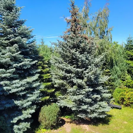 Prázdninový dům Familienurlaub 8 Personen Polen Urlaub Insel Ostsee