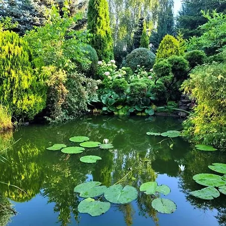 Familienurlaub 8 Personen Polen Urlaub Insel Ostsee * Wolin