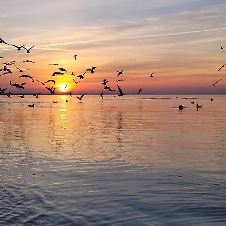 Familienurlaub 8 Personen Polen Urlaub Insel Ostsee