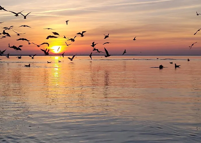 Familienurlaub 8 Personen Polen Urlaub Insel Ostsee
